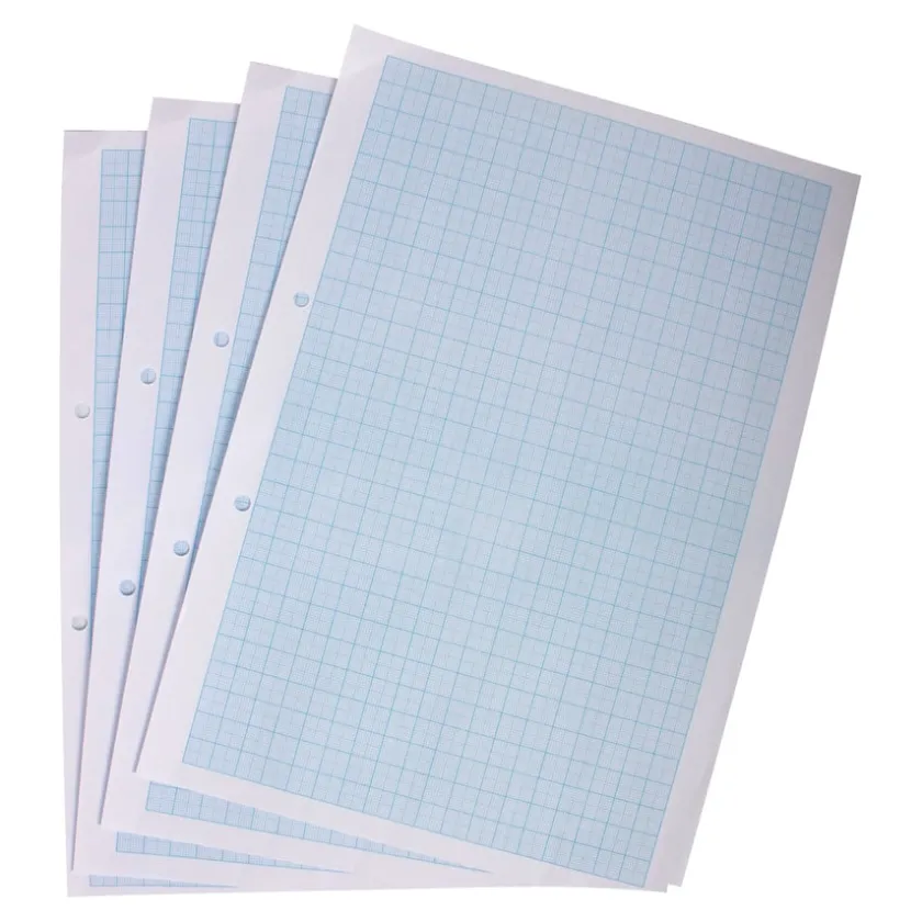 TTS A4 Graph Paper 2, 10 & 20mm Squares Punched 2 Holes 2500pk Discount