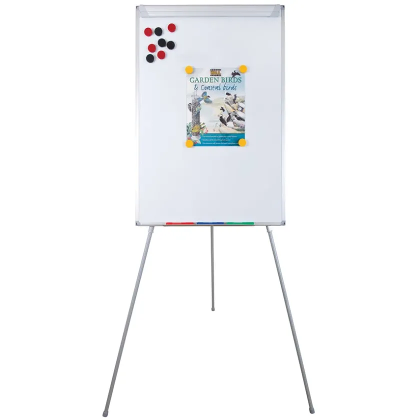 TTS Basic A1 Flipchart Easel