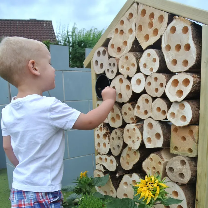 TTS Bugs Life and Planter Clearance