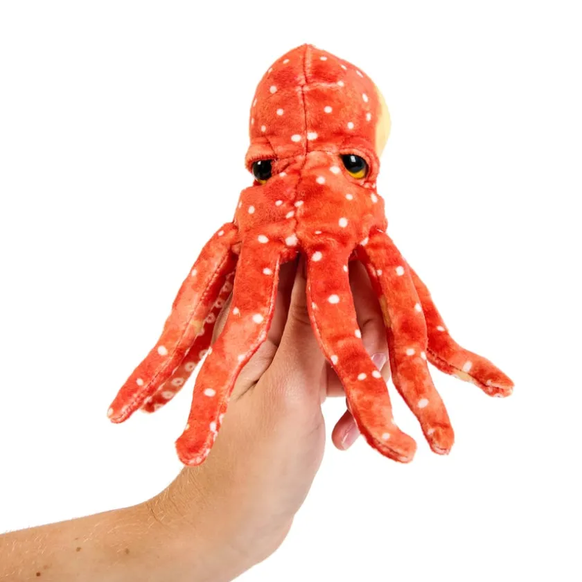 TTS Commotion in the Ocean Vocabulary and Story bag New