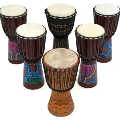 TTS Djembe Drums & Shakers 24 Players New