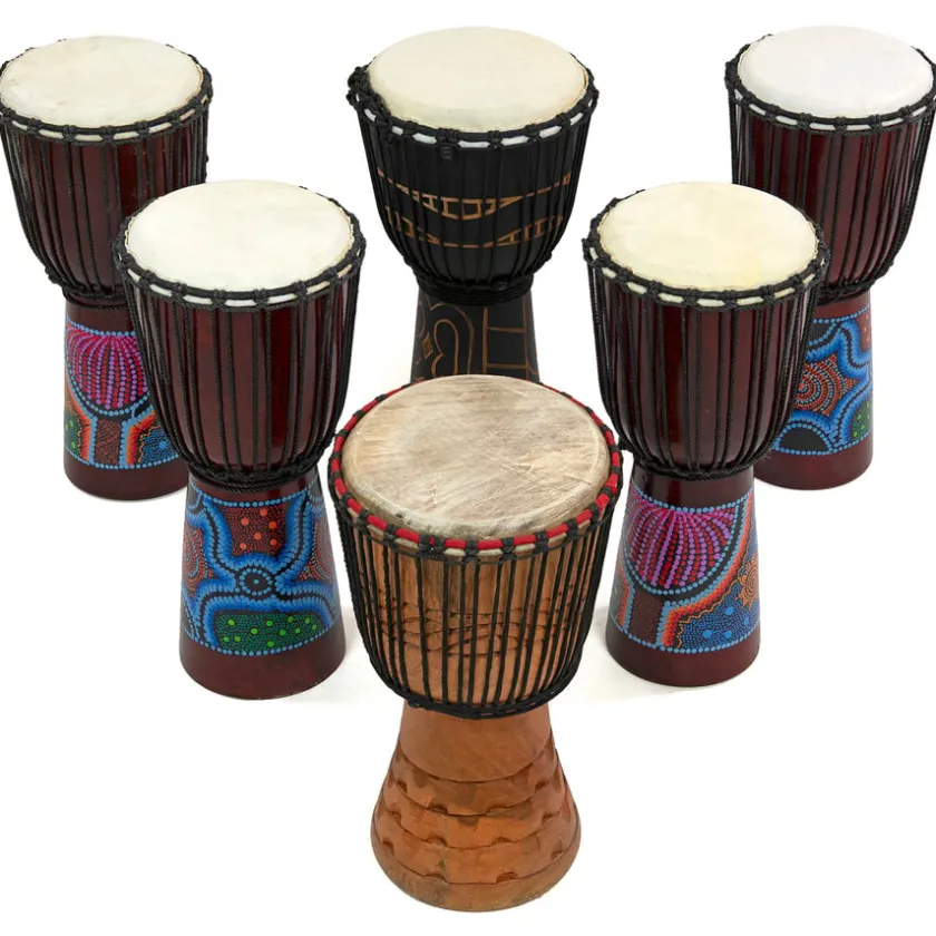 TTS Djembe Drums & Shakers 24 Players New