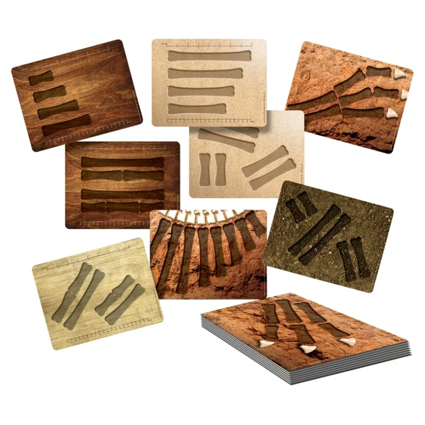 TTS Large Dinosaur Bones Match and Measure Bones Set