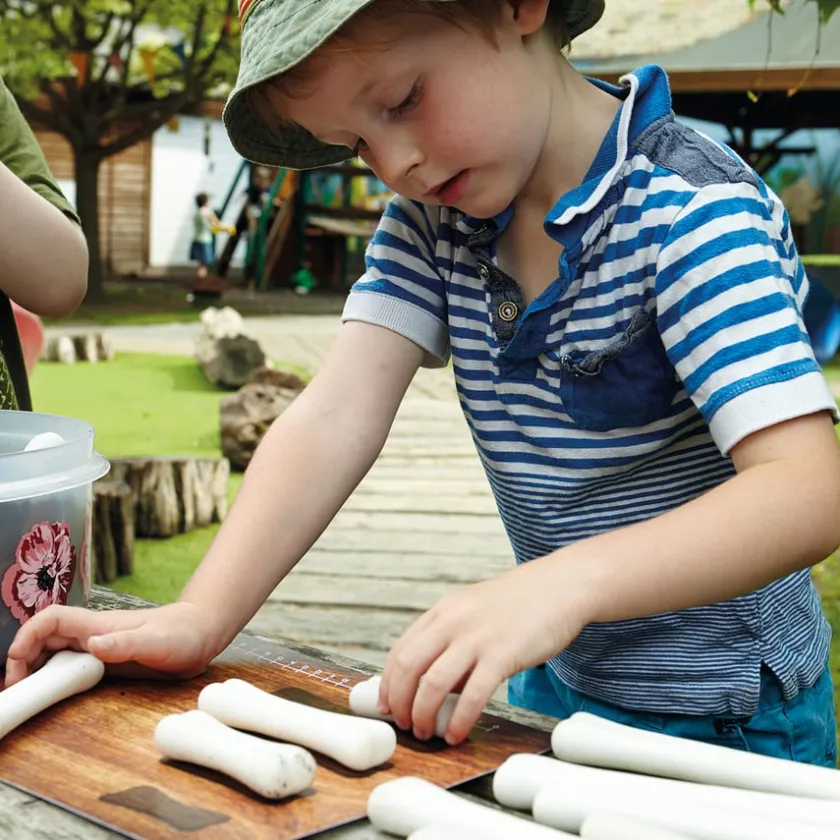 TTS Large Dinosaur Bones Match and Measure Bones Set
