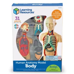 TTS Learning Resources Complete Anatomy Models Outlet