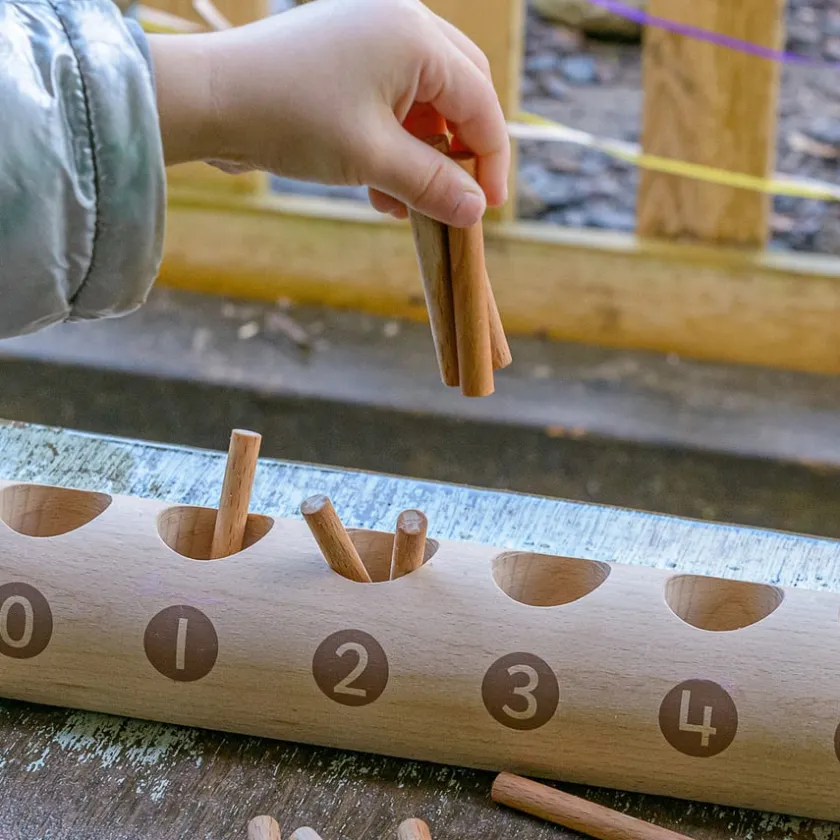 TTS Natural Counting Log New