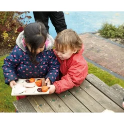 TTS Natural Sorting Tray Hot