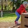 TTS Outdorable Ladder Plank Sale