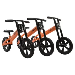 TTS Rabo Zippl Runner Bikes Best