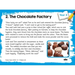 TTS Reading Comprehension Topic Cards Year 4 Discount
