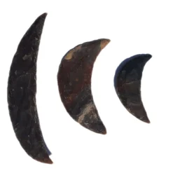 TTS Stone Age Sickle Collection 3pk Best