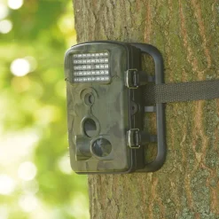 TTS Time Lapse And Motion Activated Camera
