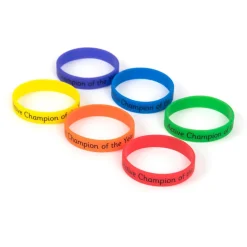 TTS Active Champion of the Year Reward Wristbands Outlet