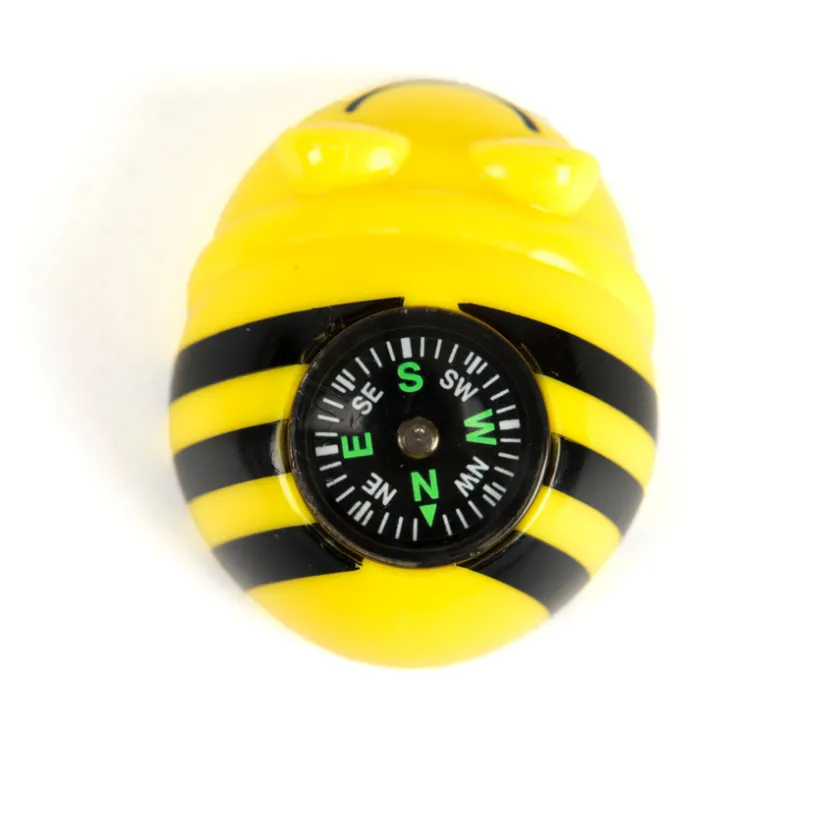 TTS Bee-Bot® Infant Compass 10pk