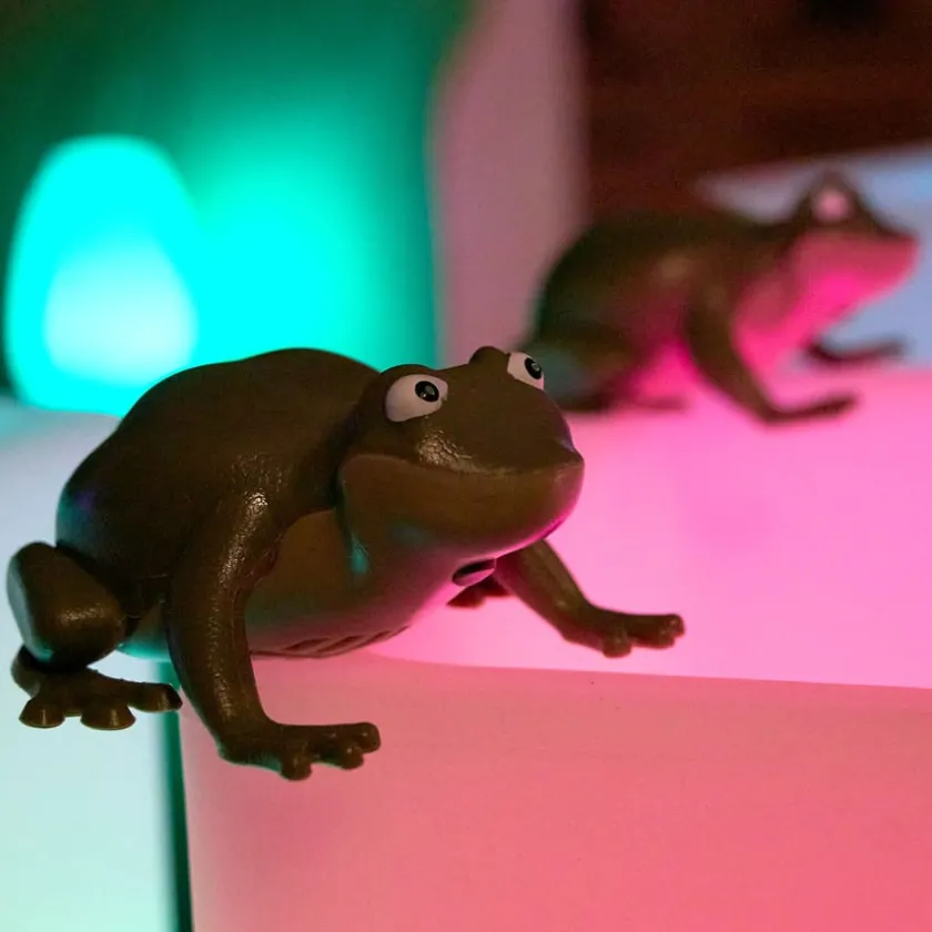 TTS Recordable Talking Frogs 10pk Hot