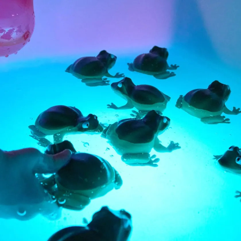 TTS Recordable Talking Frogs 10pk Hot