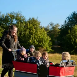 TTS Winther Turtle Kiddy Bus 6pers Online