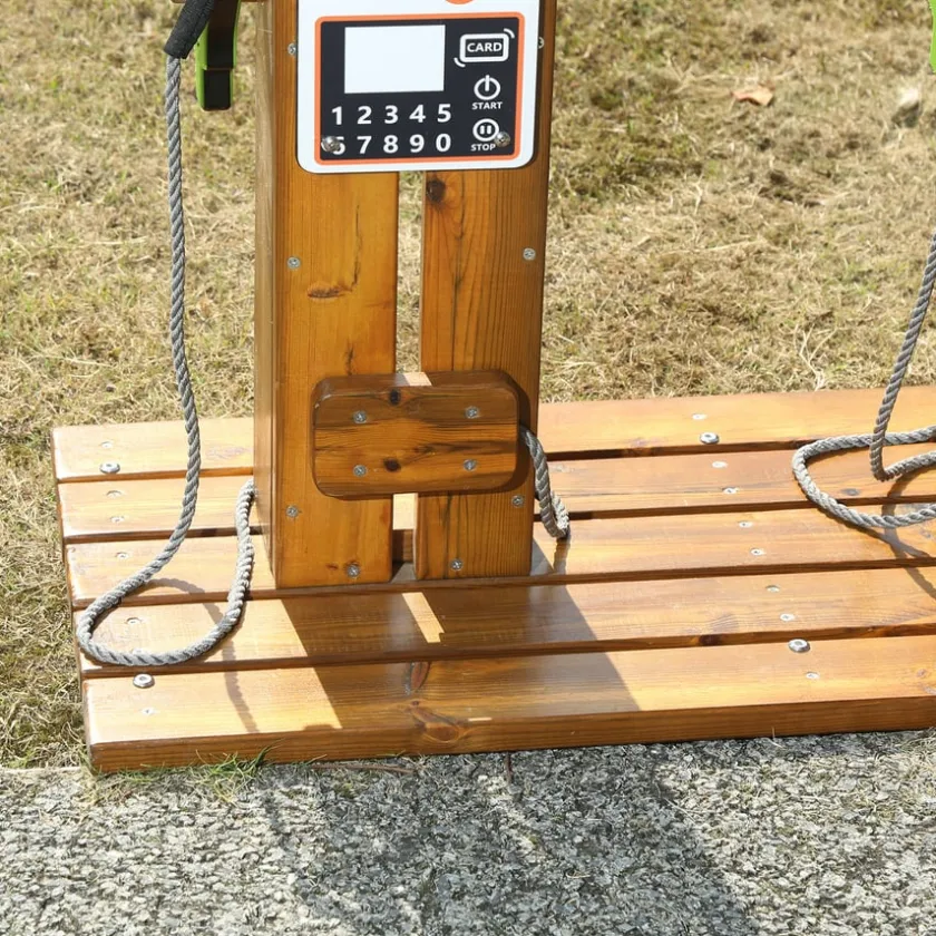TTS Wisdom Trike Charging Station New